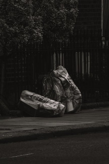 Parsons Green rubbish collection guide for New Kings Road homes